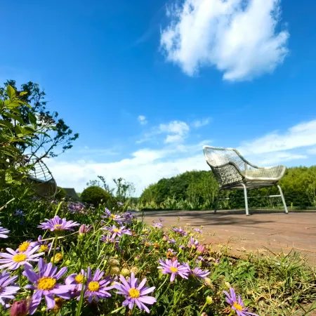 Golden Mountain & Bamboo  INN