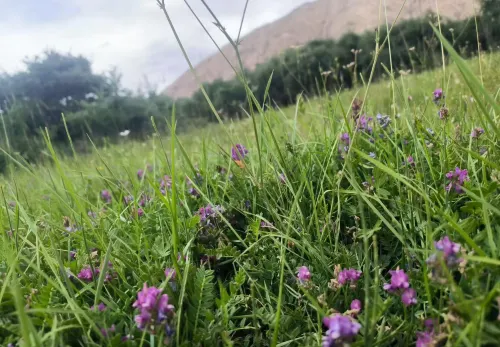 Snowtop Westernmost Lodge · Taxian Photos