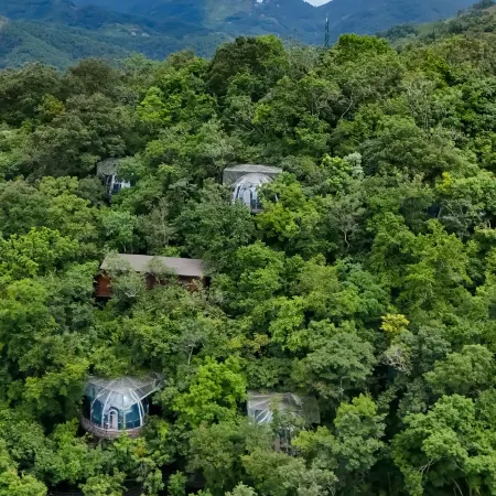 LiuLangCheng  Xiancao Secret Realm Homestay