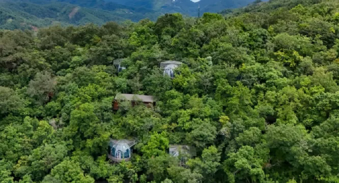 LiuLangCheng  Xiancao Secret Realm Homestay
