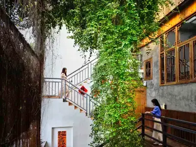 佛山祖廟有樹小院（嶺南明珠體育館店） 鄰近和順堂，第56家直營連鎖中醫藥服務終端的酒店