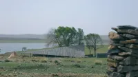And sheep - Frühstück
