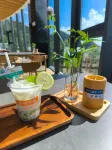 Juanniaoguichao · Luyunnami Time Camp (Zhaijishan) - Frühstück