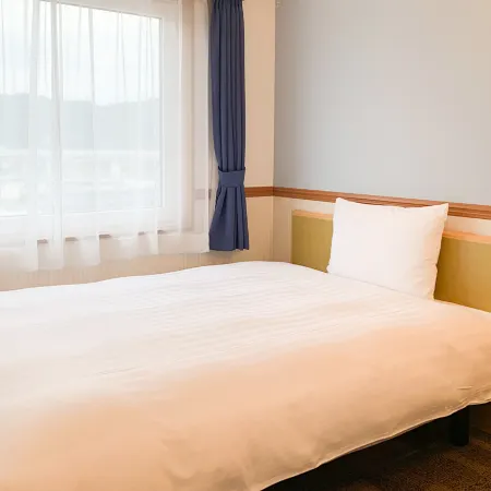 Toyoko Inn Tsuruga Ekimae