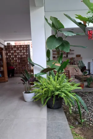 Bring in House Yogyakarta