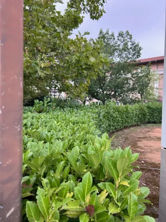 Ibis Toulouse Purpan Отели рядом с достопримечательностью «Университет Тулуза - Жан Жорес»