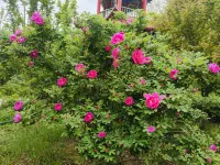 Yanqi Hotel Hotels in Yanqi