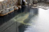 Zuiko Retreat