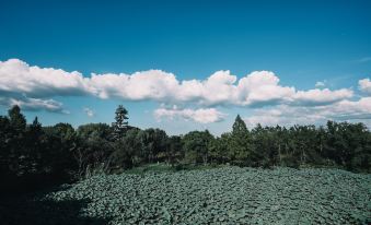 Weihan Resort At Xixi Wetland