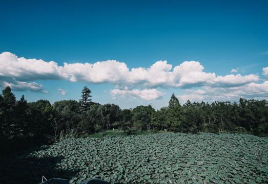 2. 웨이한 리조트 ..