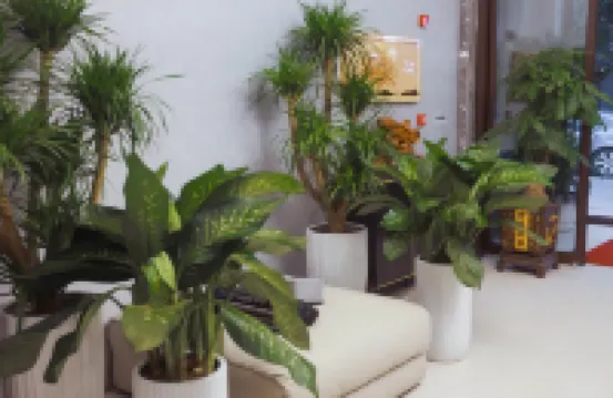 Jinzhou Orange Hotel (Train Station Linghe Night Market Branch)