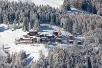 Chalet le Moulin: quiet, nature, fireplace, view