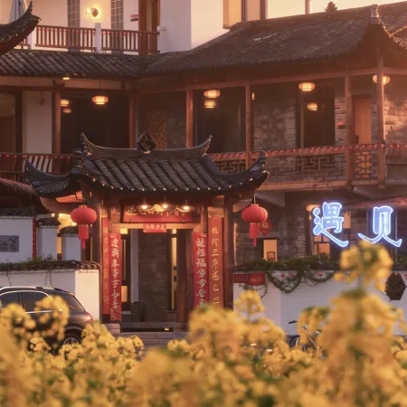 Meet Xilan Karp (Longshan Jabala Scenic Area)