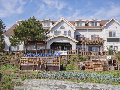 Bucket Jeju