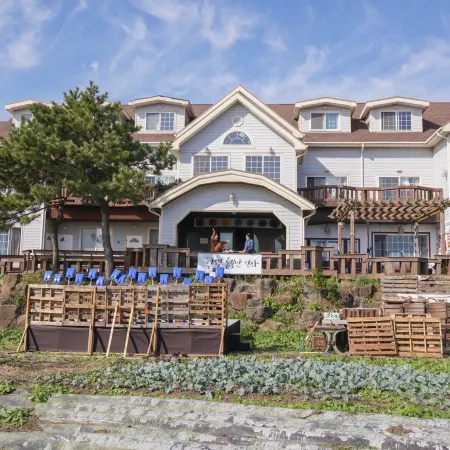 Bucket Jeju