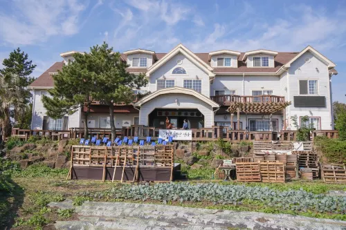Bucket Jeju