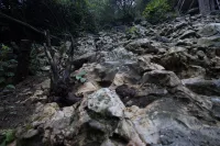 Zhijin County Qingxi Homestay - صديق للحيوانات الاليفة