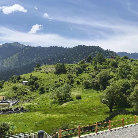 Zhuomu Lariz Homestay