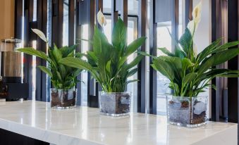 Grace Inn Luozhuang Branch