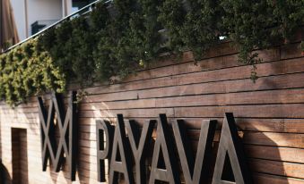 Payava Hotel by True Blue