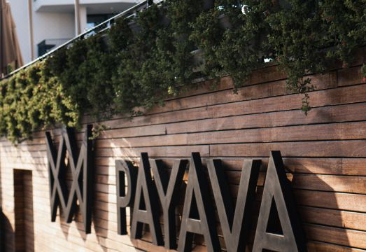 4. 파야바 호텔 바..