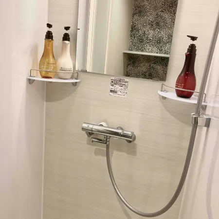 Dormy Inn Premium Ginza Natural Hot Spring