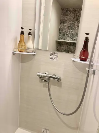 Dormy Inn Premium Ginza Natural Hot Spring
