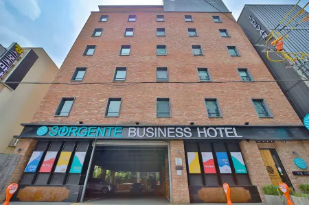 Sorgente Business Hotel