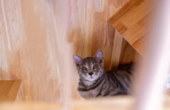 Zhongtian Hotel (Wuyue Branch)