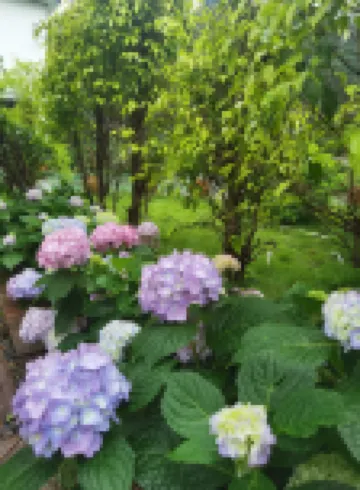 Pingnan Jingyue Villa