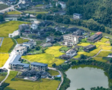 德化曾阪村藝術療愈基地