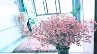 君雅軒シネマホテル（安徽省理工大学） - キッチン