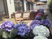 紹興魯迅故里花間府·朝花夕拾酒店 鄰近紹興魯迅紀念館的酒店