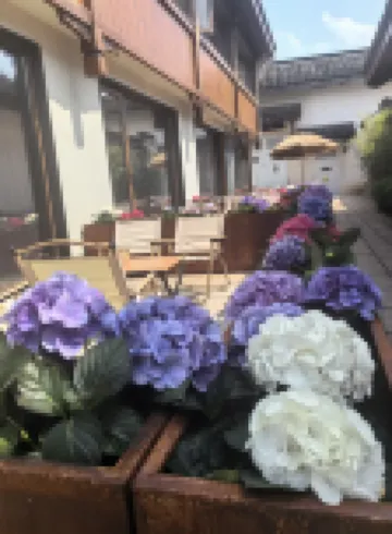 紹興魯迅古里花間府·朝花夕拾ホテル 紹興旧魯迅邸宅周辺のホテル