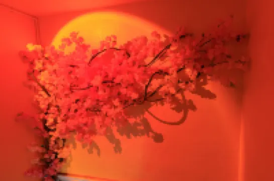 Zhengzhou Wanguizhou Hotel (Zhengzhou Airport) Hoteles en 