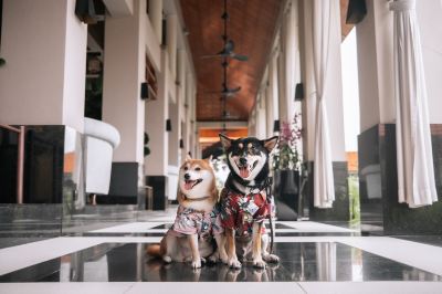 共有エリア ソフィテル シンガポール セントーサ リゾート&スパ(ステイケーション可)の写真