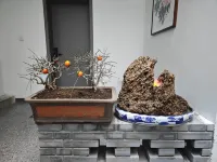 Youjing Xiaoyuan Homestay (Luoyi Ancient City Street Branch)