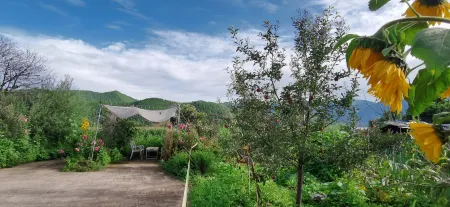 Tingting Inn Lugu Lake Отели рядом с достопримечательностью «Modai Wangfeifu»