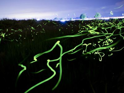 ホテル周辺 旅籠彩くらの写真