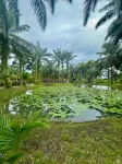 Palm Lake Resort