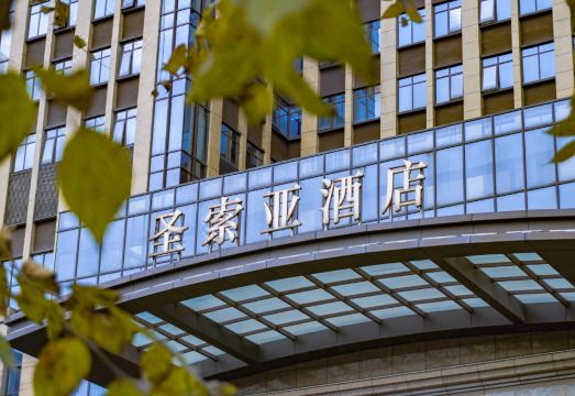 다이 삼사라 호텔