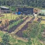 Bosque Escondido Hotels in Sutatausa