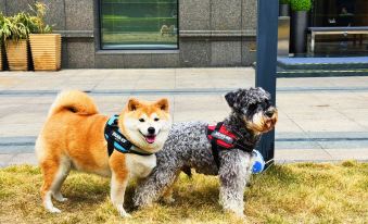 Holiday Inn Express Hangzhou Huanglong, an IHG Hotel