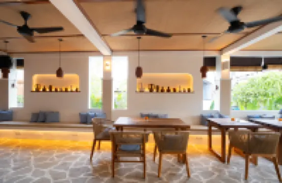 ماد مونكي أولواتو