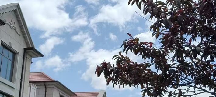 Lakeside Flower Villa Homestay Hoteles en Huailai