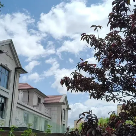 Lakeside Flower Villa Homestay