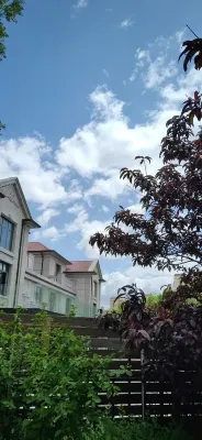 Lakeside Flower Villa Homestay