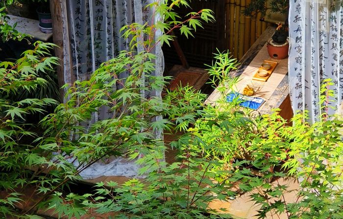 Zhoufu B&B, Liujiang Ancient Town