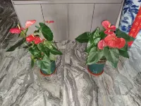 Zhengxiang Wanda Hotel (Lvliang Dawu Airport | Lvliang Normal College) Hotels in Fangshan