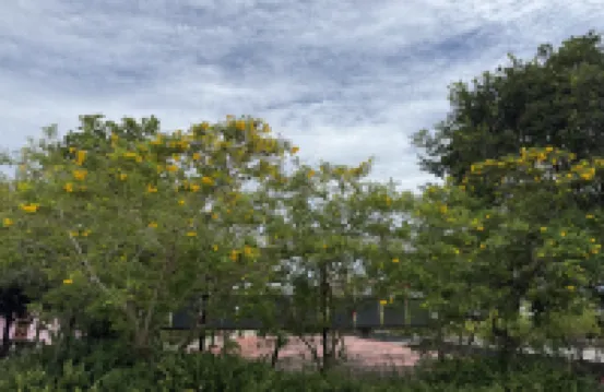 伊納潘塔曼草本酒店